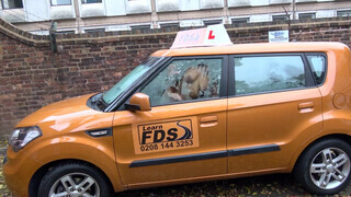 Fake Driving School - Tiffany Russo simán dug a jogsiért